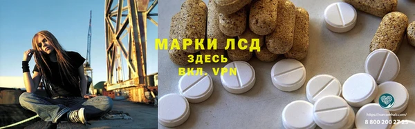 дмт Пересвет