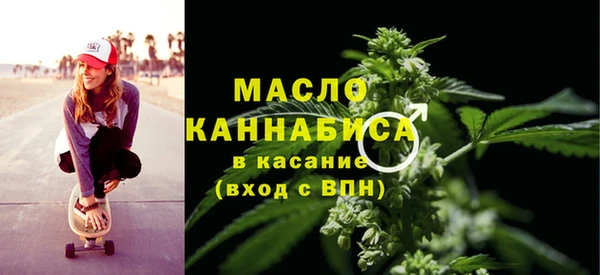 дмт Пересвет