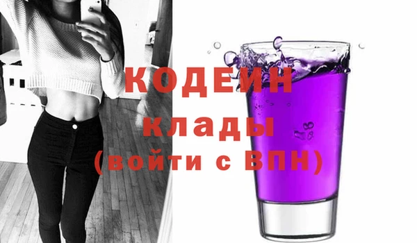 apvp Пестово