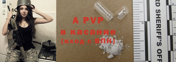 дмт Пересвет