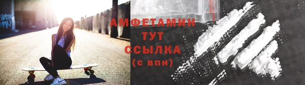 дмт Пересвет