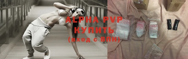 дмт Пересвет