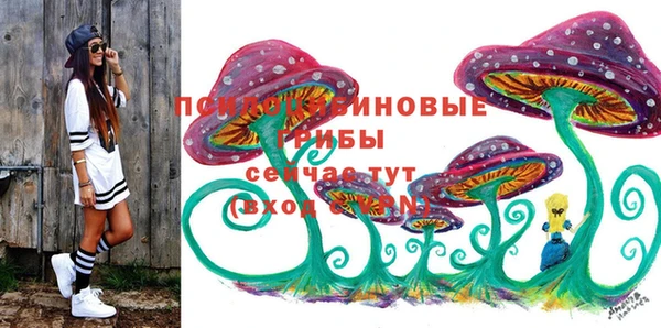 дмт Пересвет