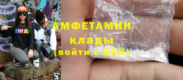 дмт Пересвет