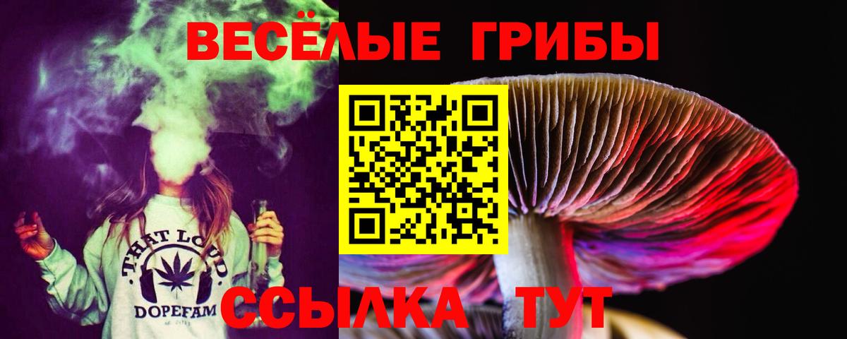 Псилоцибиновые грибы Cubensis Богданович