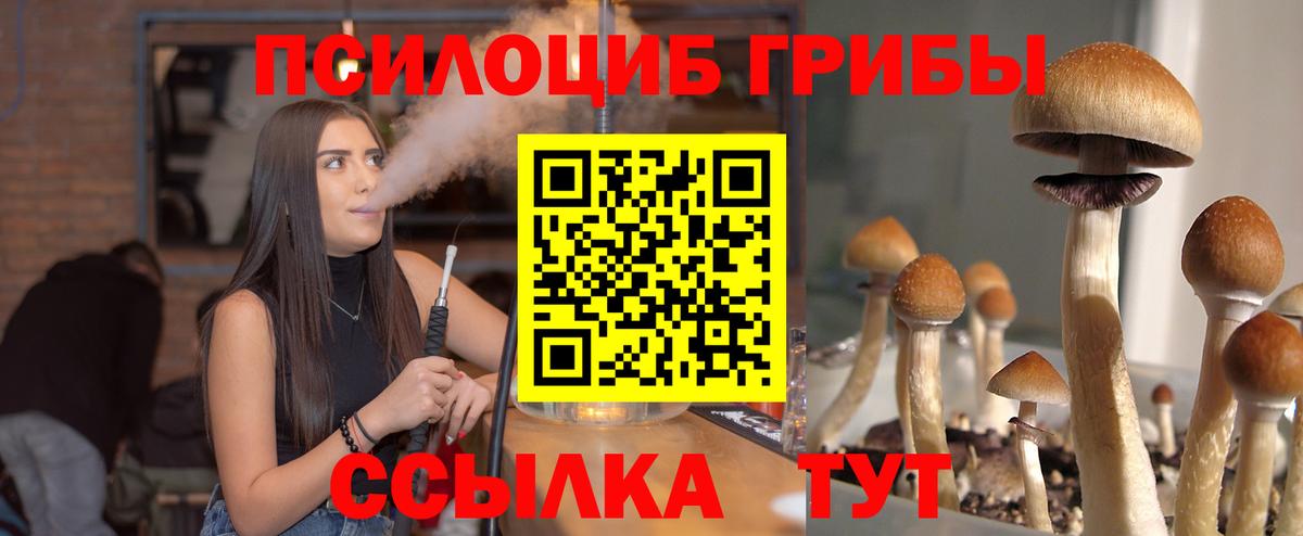 Псилоцибиновые грибы Magic Shrooms  Вход с VPN  Богданович 